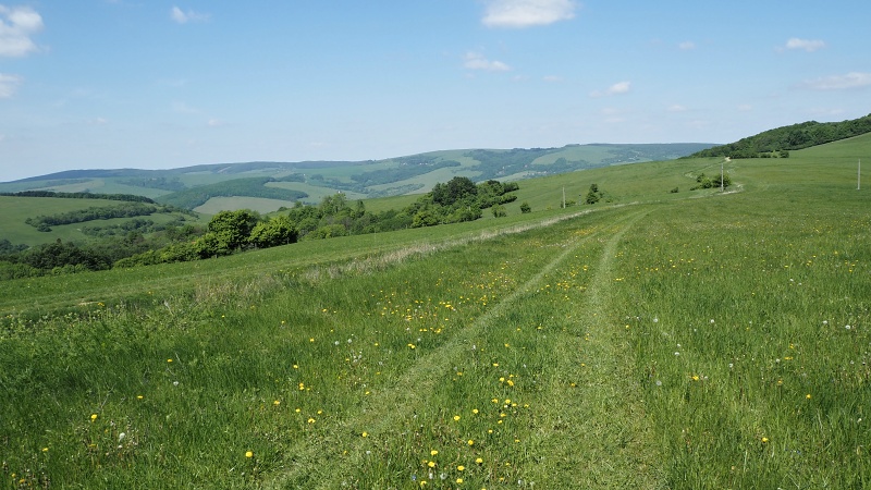 Ostrý vrch