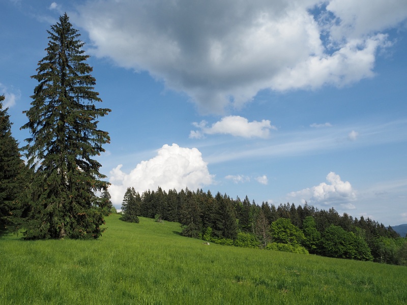 Benešky