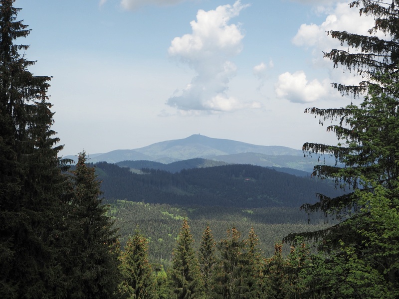 Bumbálka