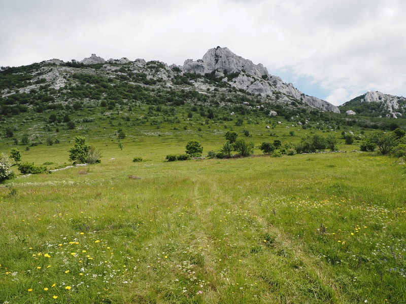 Sjeverni Velebit