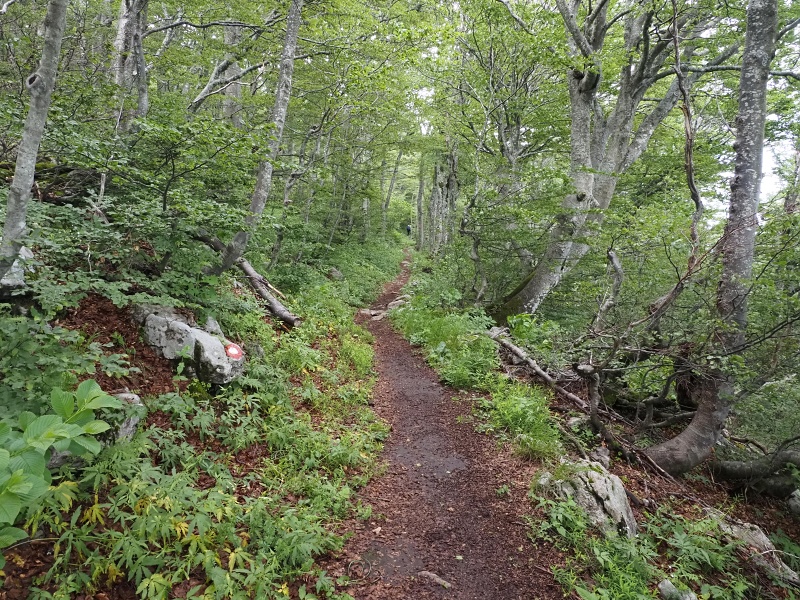 Sjeverni Velebit