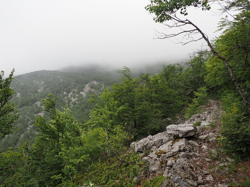Sjeverni Velebit
