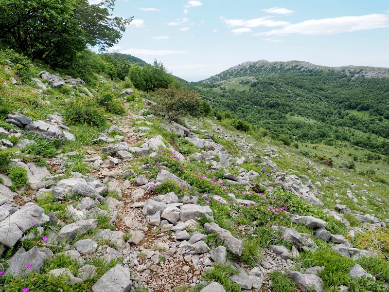 Sjeverni Velebit