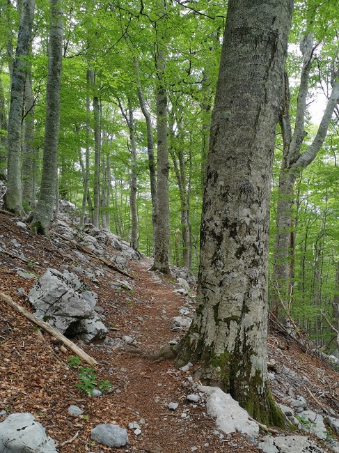 Sjeverni Velebit
