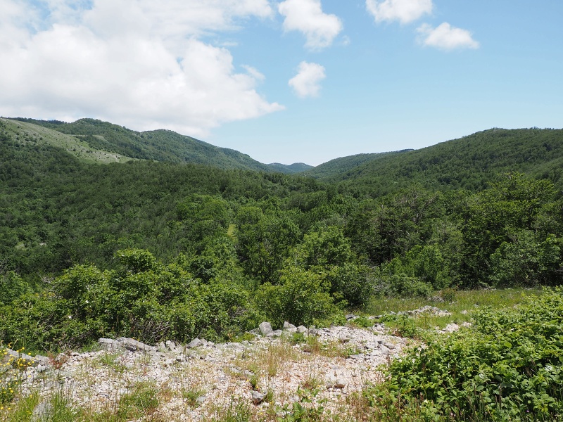 Sjeverni Velebit