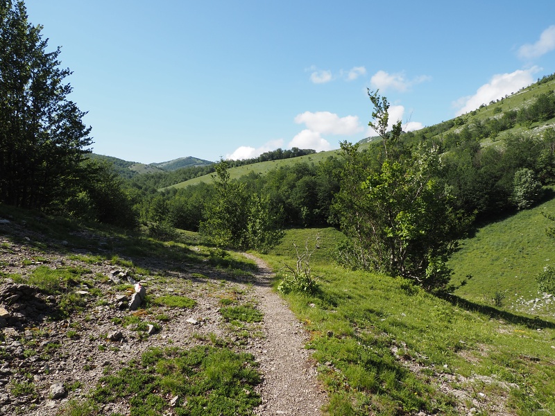 Sjeverni Velebit