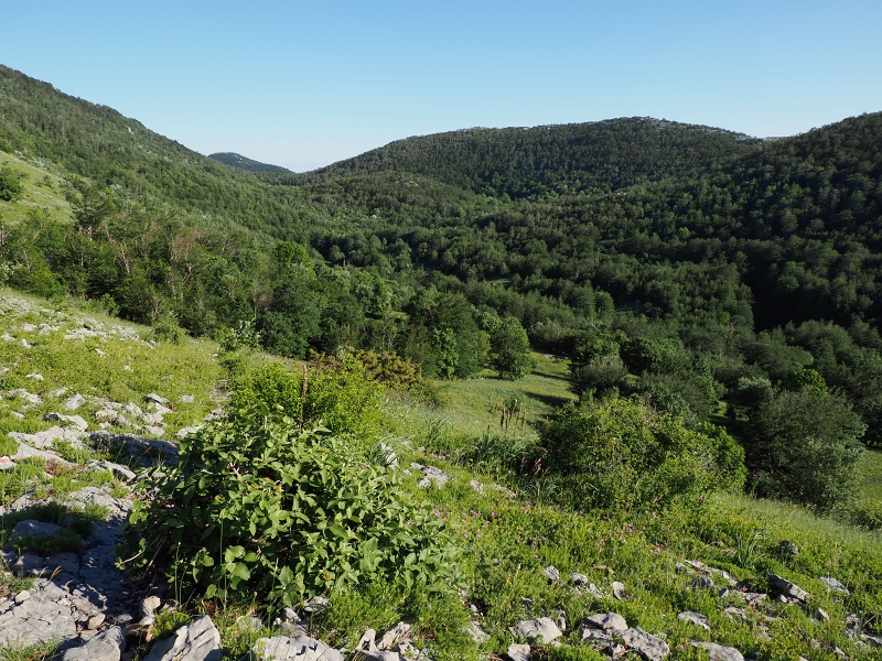 Sjeverni Velebit
