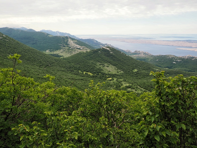 Sjeverni Velebit
