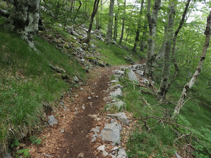 Sjeverni Velebit