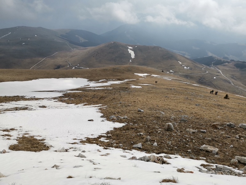 Bjelašnica