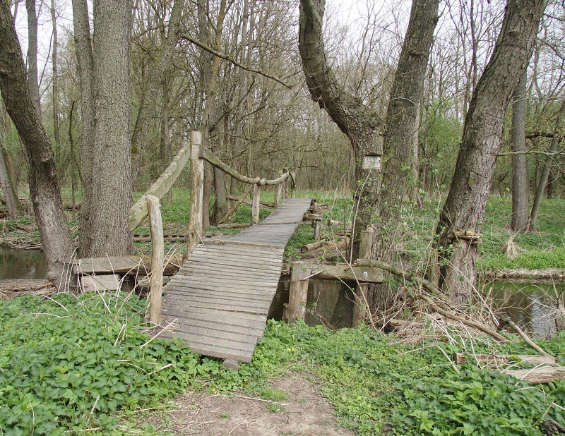 Budkovice