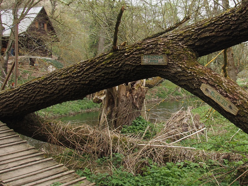 Budkovice
