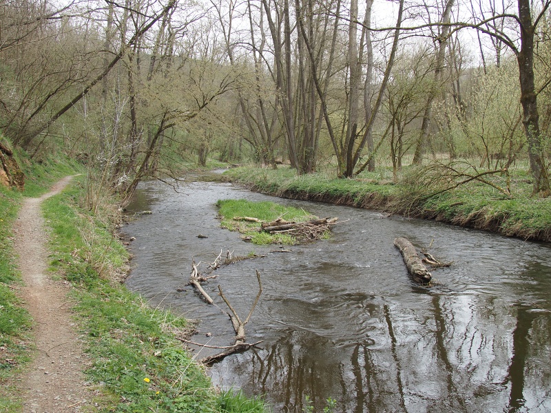 Budkovice