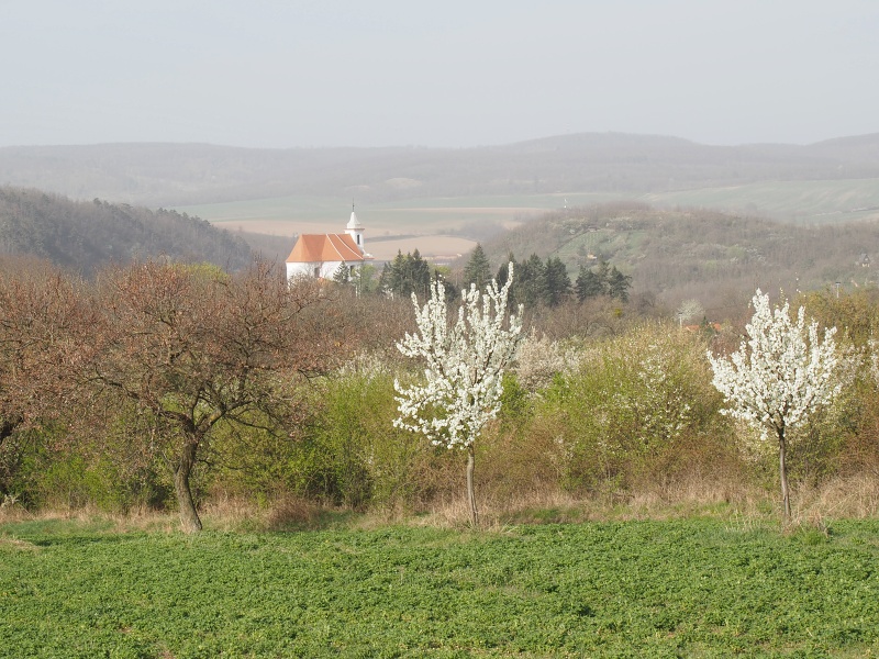 Dolní Kounice
