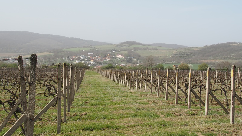 Moravské Bránice
