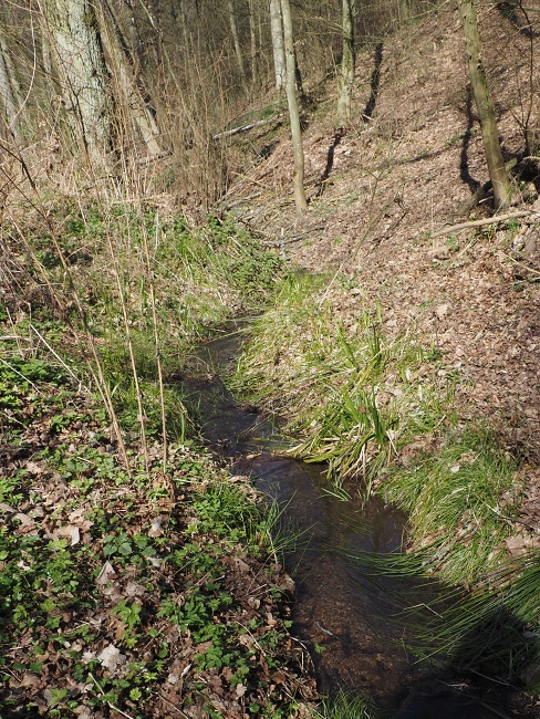 potok Kubelín