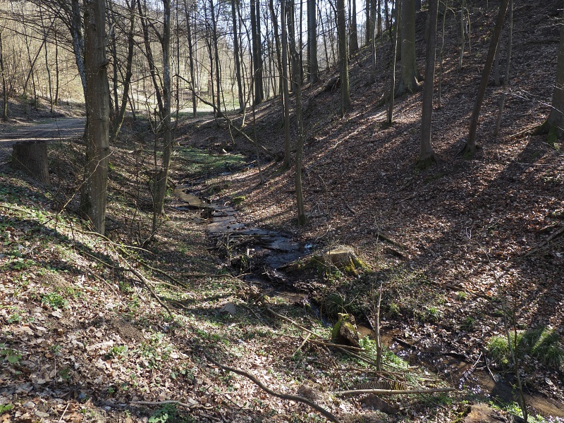 potok Kubelín