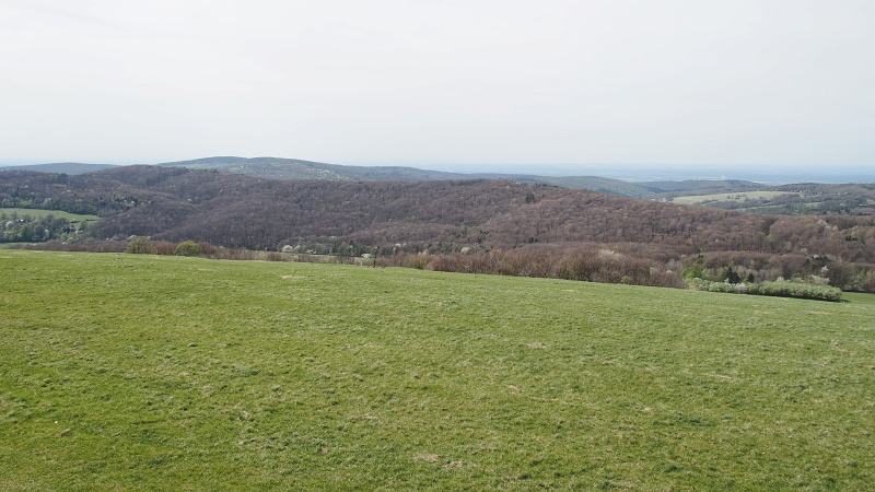 Žalostiná