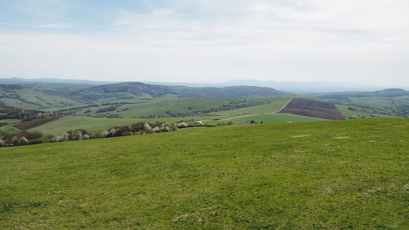 Žalostiná