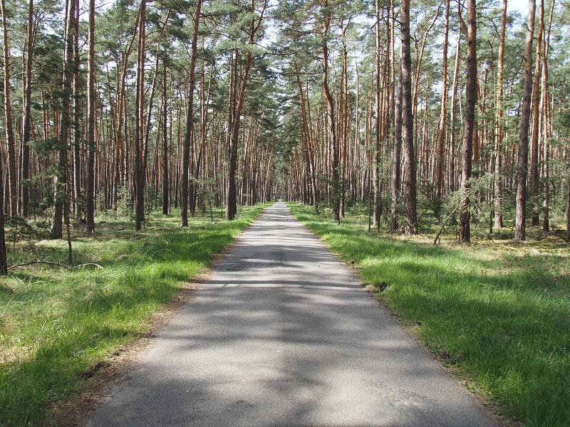 Bzenecká doubrava