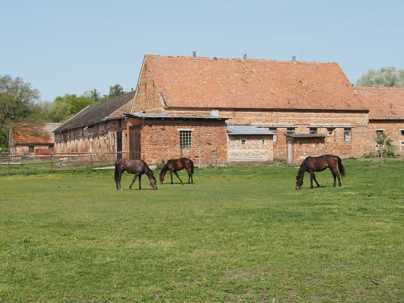 Bzenecká doubrava