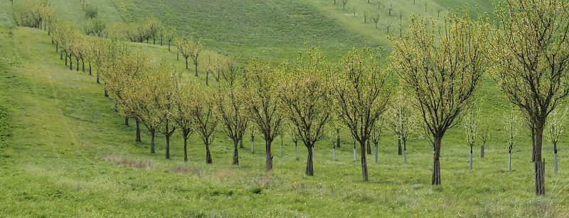 Moravské Toskánsko
