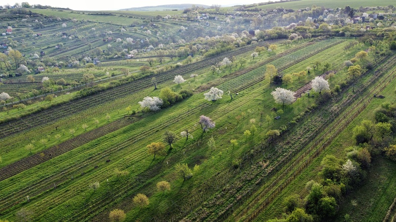 pod Žerotínem