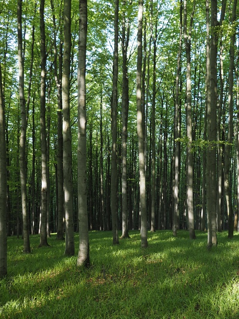 Bílé Karpaty
