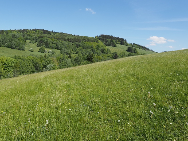 Bílé Karpaty