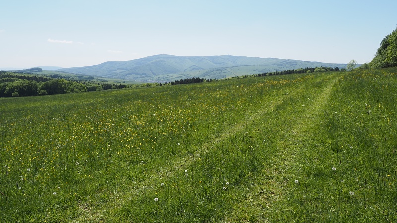 Bílé Karpaty