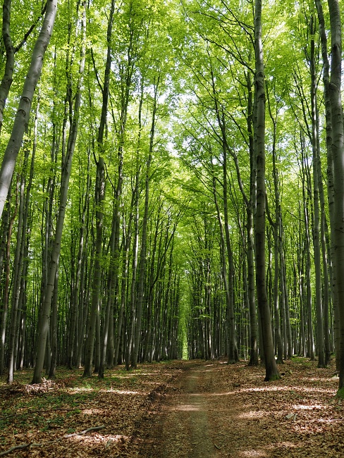 Bílé Karpaty