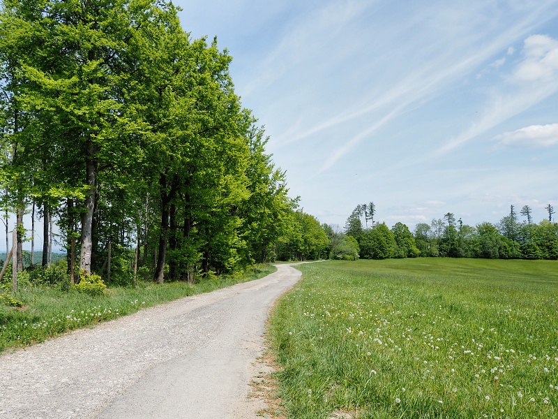 Bílé Karpaty