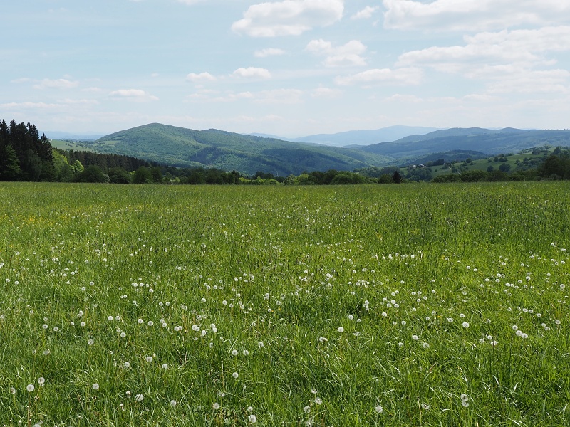 Bílé Karpaty