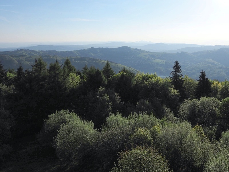 Bílé Karpaty