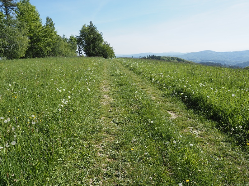 Bílé Karpaty