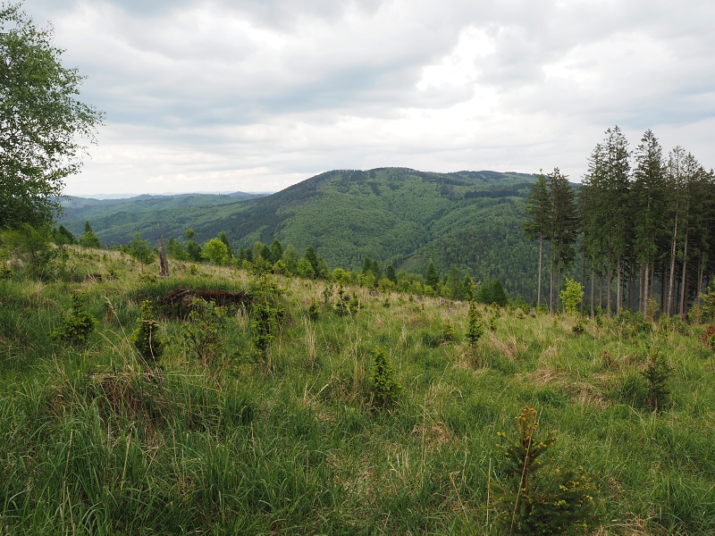 Bílé Karpaty