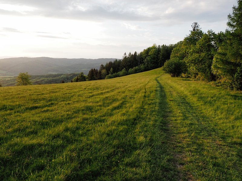 Bílé Karpaty