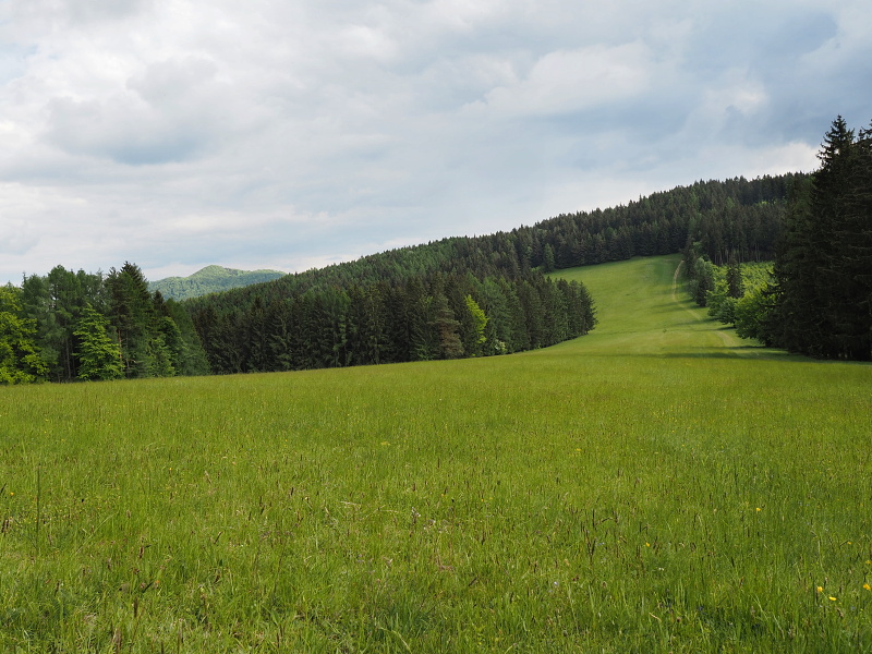 Bílé Karpaty