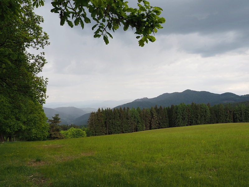 Bílé Karpaty