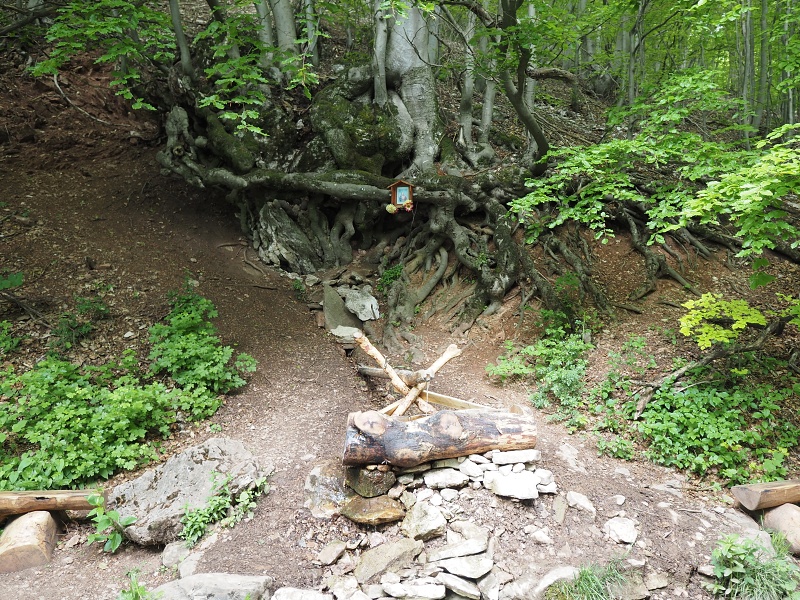 Bílé Karpaty
