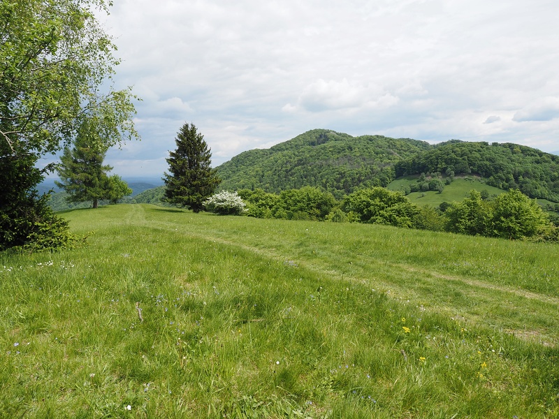 Bílé Karpaty