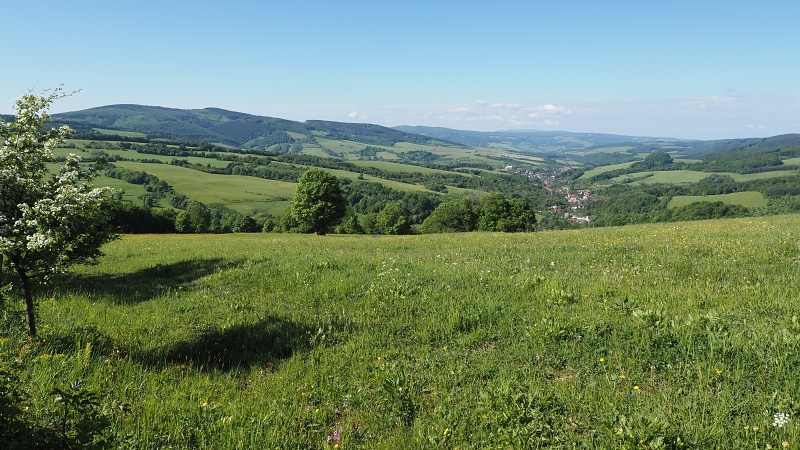 Bílé Karpaty