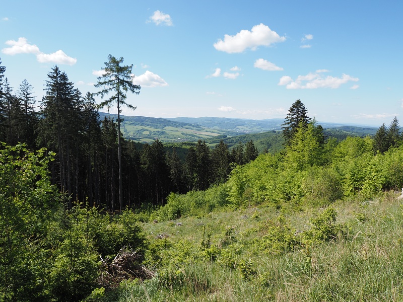 Bílé Karpaty