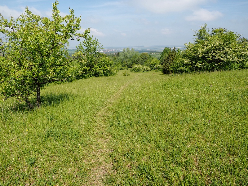 Bílé Karpaty