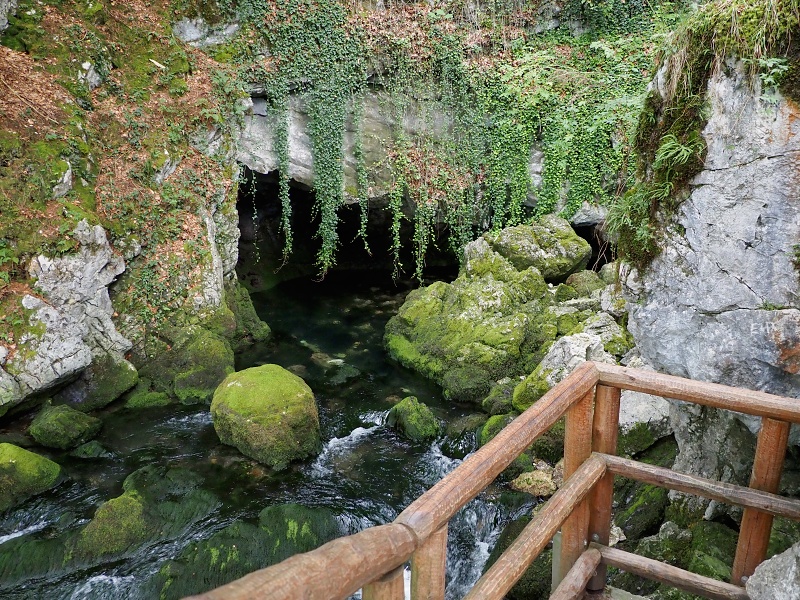 Gollinger Wasserfall