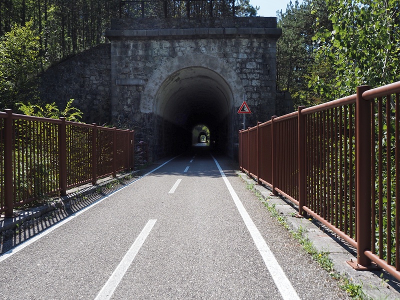Dogna