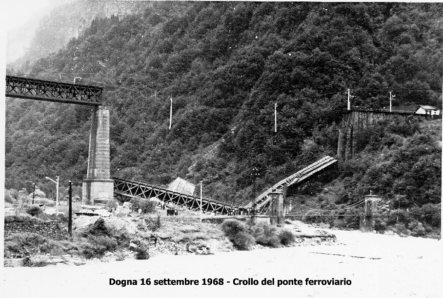 >Dogna