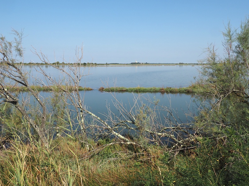 Laguna di Grado