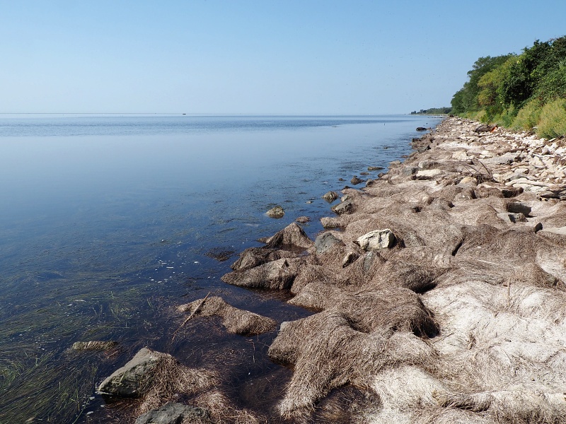 Laguna di Grado