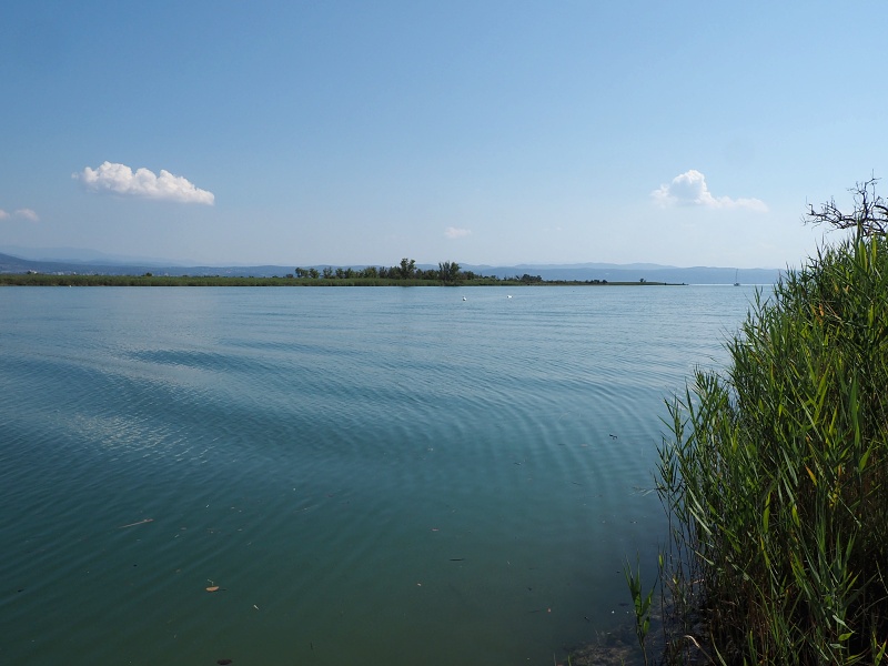 Laguna di Grado